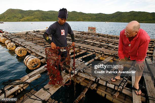 Jacques Branellec inspects Tatay pearl farm, having piloted a helicopter to inspect one of his company's pearl farms in Palawan, 500km from Manila,...