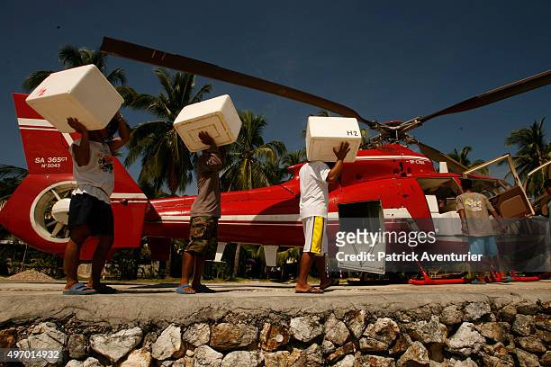 Young oysters being transported by helicopter to one of the other farms to continue their growth. Jacques Branellec has arrived to inspect the farm,...