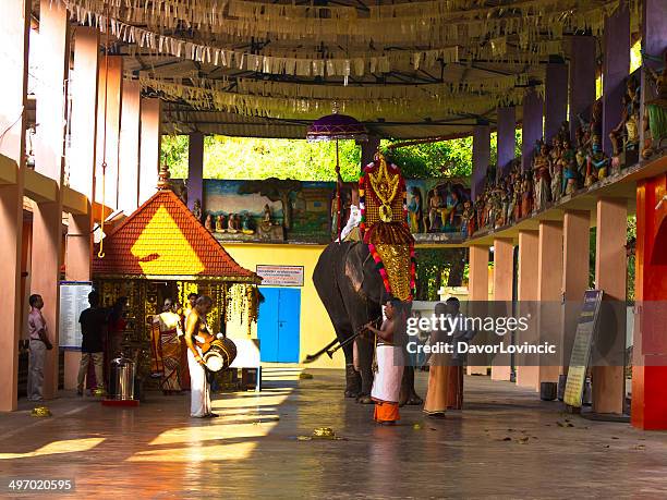 Elephant Welcome Ritual 224 Elephant Blessing Ceremony Stock Photos, High-Res Pictures, and ...