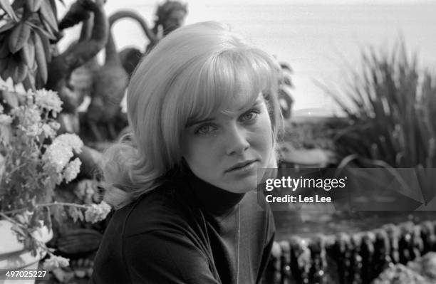 Portrait of actress Sue Lyon at the Dorchester Hotel, London, October 5th 1964.