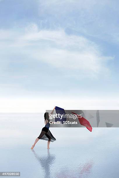 agitant le drapeau de la france dans le vent à l'extérieur - forte beach photos et images de collection