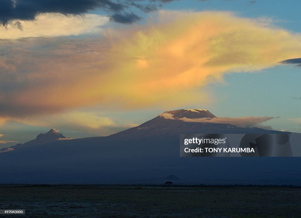 KENYA-CHINA-IVORY-TRADE