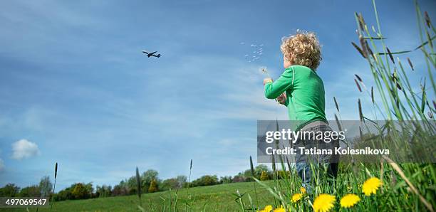 little boy blowing dandelion - kid looking up to the sky stock pictures, royalty-free photos & images