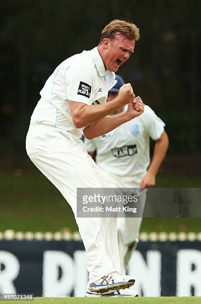 Doug Bollinger of the Blues celebrates taking the wicket of Beau Webster of the Tigers during day one of the Sheffield Shield match between New South...