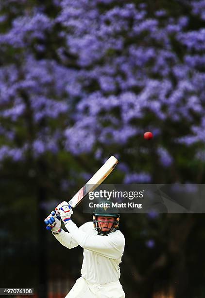 Ben Dunk of the Tigers bats during day one of the Sheffield Shield match between New South Wales and Tasmania at Bankstown Oval on November 14, 2015...