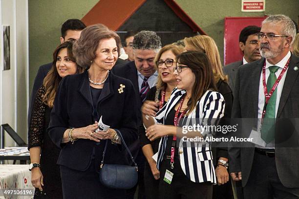 Queen Sofia Attends Alzheimer Congress in Valladolid on November 13, 2015 in Valladolid, Spain.