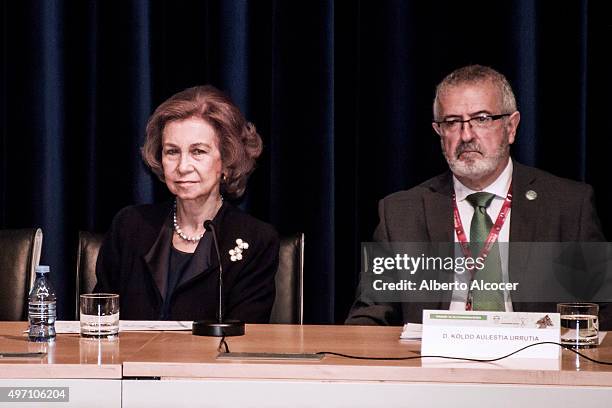 Queen Sofia Attends Alzheimer Congress in Valladolid on November 13, 2015 in Valladolid, Spain.