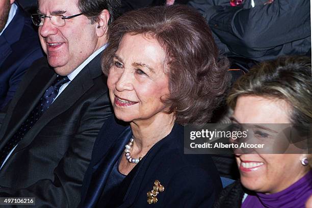 Queen Sofia Attends Alzheimer Congress in Valladolid on November 13, 2015 in Valladolid, Spain.