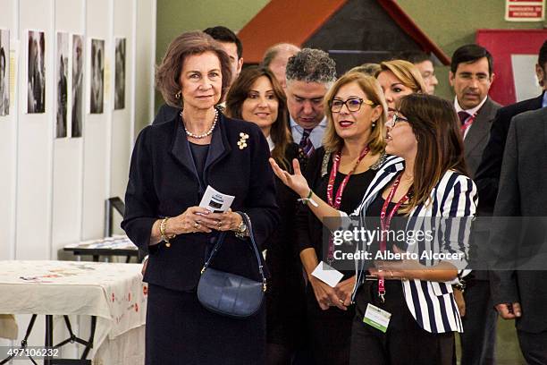 Queen Sofia Attends Alzheimer Congress in Valladolid on November 13, 2015 in Valladolid, Spain.