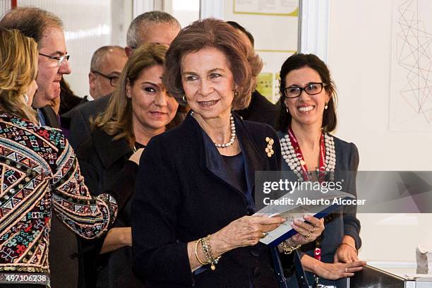 Queen Sofia Attends Alzheimer Congress in Valladolid on November 13, 2015 in Valladolid, Spain.