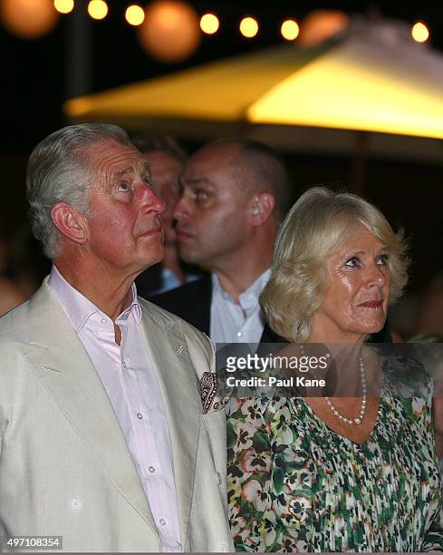 Prince Charles, Prince of Wales watches lightning overhead as Camilla, Duchess of Cornwall watching a choir perform during a reception to celebrate...
