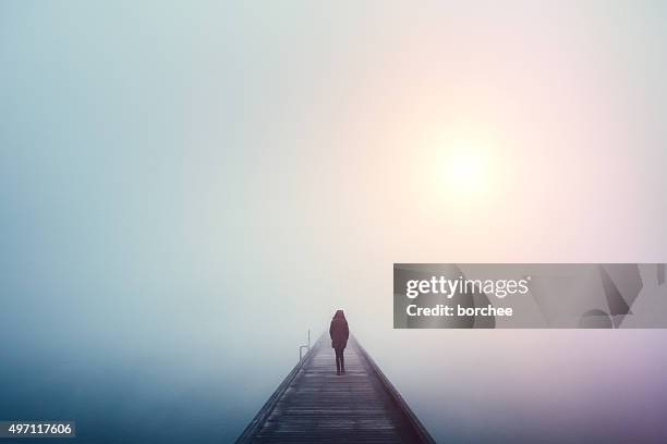 traverser le pont - scène tranquille brume photos et images de collection