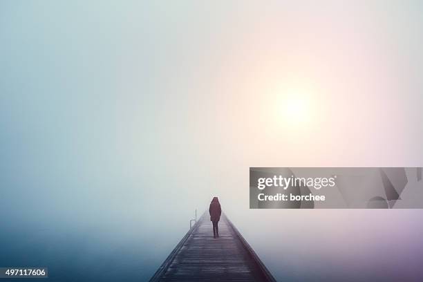 crossing the bridge - ensamhet bildbanksfoton och bilder