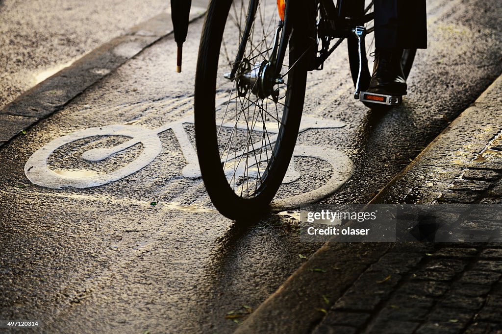 Bike lane, wet asphalt, and bicycle