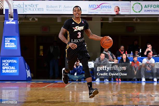 Keith Appling of the Erie Bayhawks handles the ball during the game against the Westchester Knicks at the Westchester County Center on November 14,...