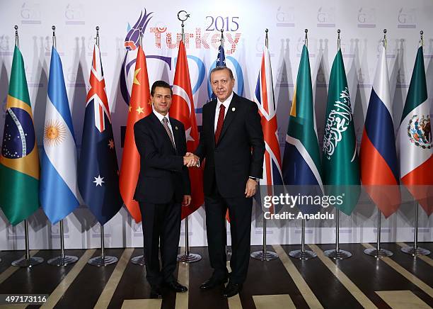 Turkish President Recep Tayyip Erdogan greets Mexican President Enrique Pena Nieto as he arrives for a dinner hosted by President Erdogan in honor of...