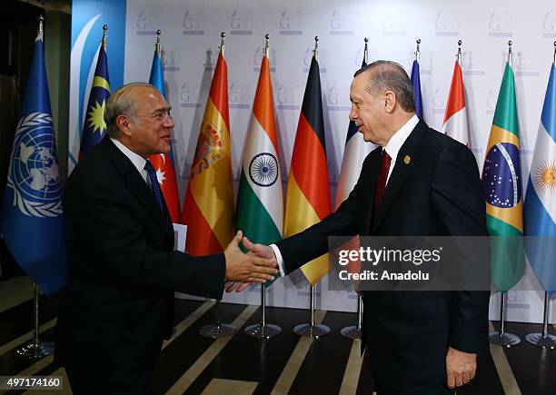 Turkish President Recep Tayyip Erdogan greets Angel Gurria, Secretary-General of Organization for Economic Co-operation and Development , as he...