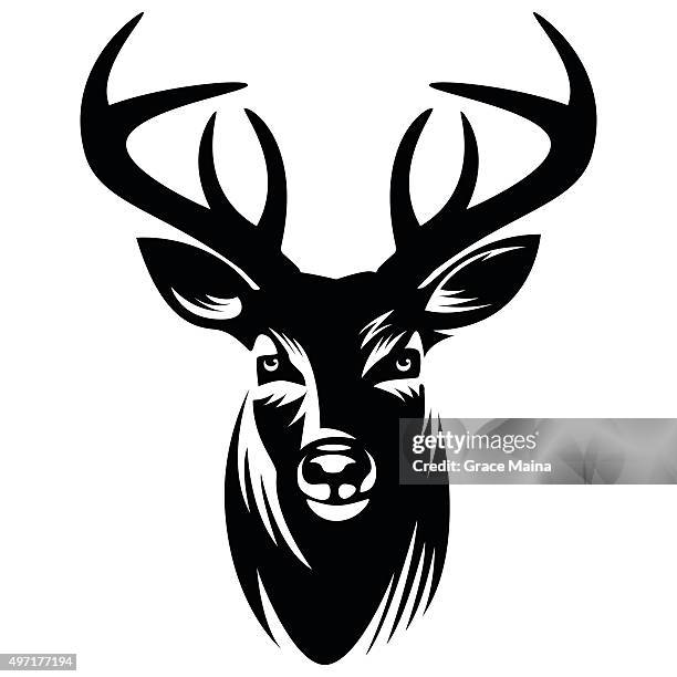 deer vector illustration - vector - deer antler silhouette stock illustrations