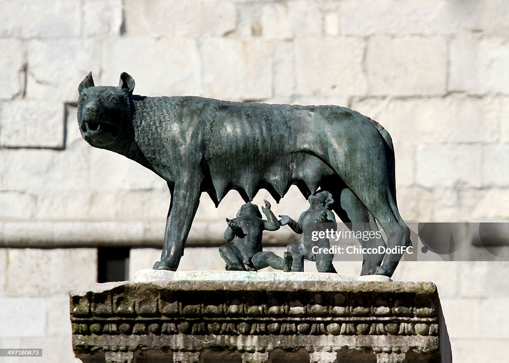 Capitoline Wolf suckling the twin founders of ROME