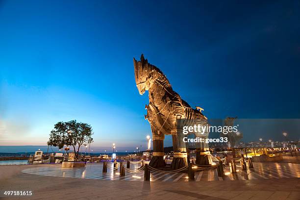 cavalo de troia de madeira - cavalo-de-troia imagens e fotografias de stock