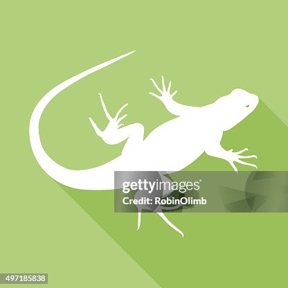 Lizard Icon Lizard Icon
