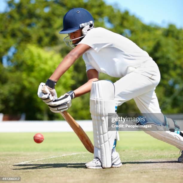 sometimes you've got to play it safe - cricket bat stockfoto's en -beelden