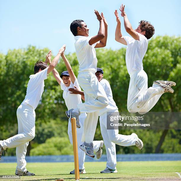 the joys of success in sport - cricket wicket stock pictures, royalty-free photos & images