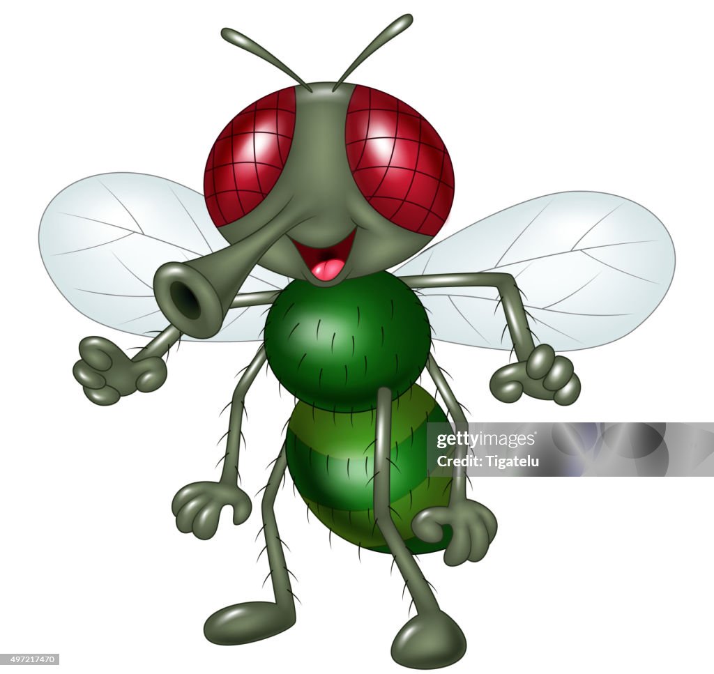 Cartoon Happy Fly Isolated On White Background High-Res Vector Graphic ...