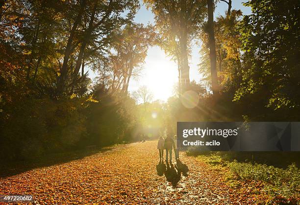 herbstliche allee eines öffentlichen parc mit drei promenaders - rheinland stock-fotos und bilder