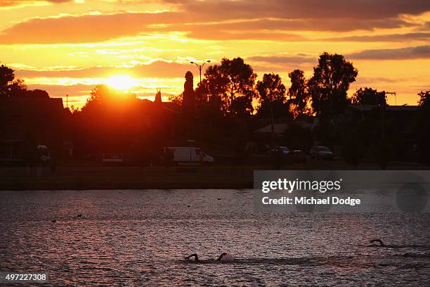 Triathletes participate in the swim leg in Victoria Lake as ducks stay out the way during Challenge Shepparton on November 15, 2015 in Shepparton,...