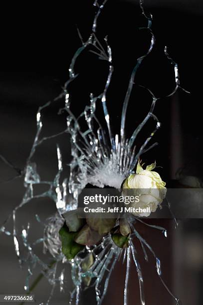 Rose is placed beside a bullet hole at La Belle Equipe restaraunt on Rue de Charonne following Fridays terrorist attack on November 15, 2015 in...