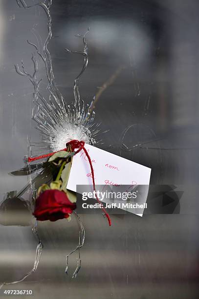 Rose is placed beside a bullet hole at La Belle Equipe restaraunt on Rue de Charonne following Fridays terrorist attack on November 15, 2015 in...