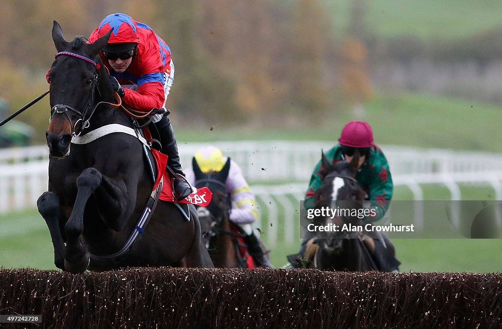 Cheltenham Races