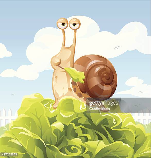 illustrazioni stock, clip art, cartoni animati e icone di tendenza di chiocciola mangiare insalata - lettuce