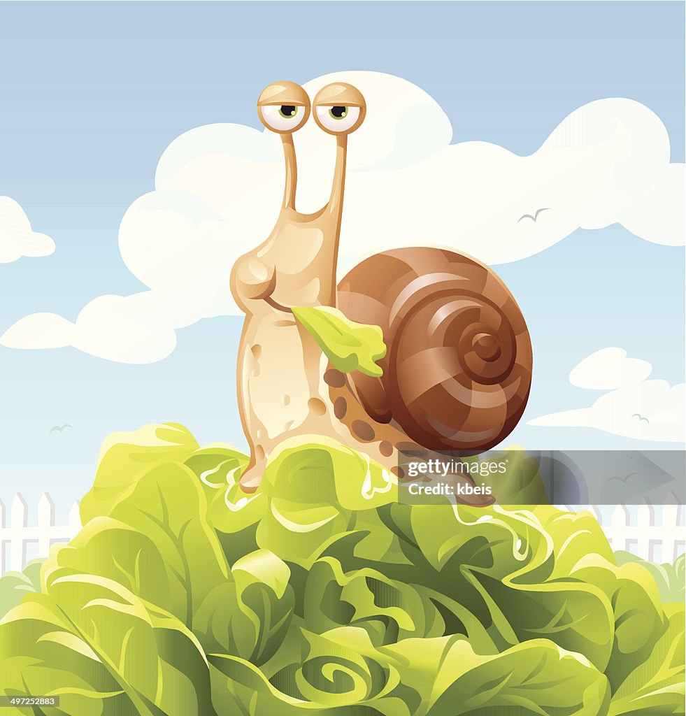 Snail Eating Salad