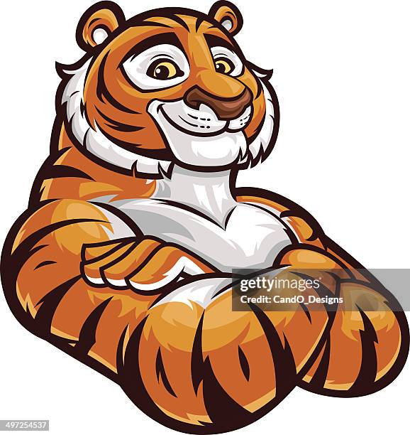 tiger mascot - arms crossed - wildcat animal stock illustrations