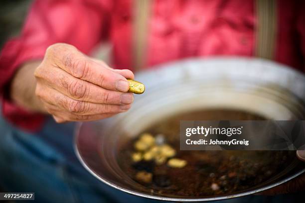 golden nugget - gold panning stock pictures, royalty-free photos & images