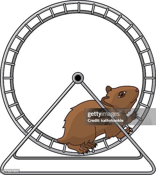 illustrazioni stock, clip art, cartoni animati e icone di tendenza di criceto e ruota per criceti - hamster