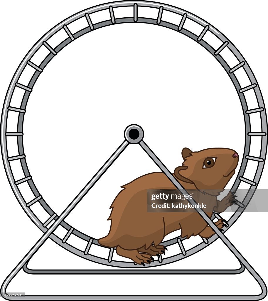 Hamster and exercise wheel