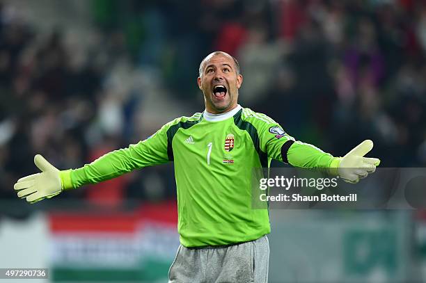 Goalkeeper Gabor Kiraly of Hungary celebrates as his team take a 1-0 lead during the UEFA EURO 2016 Qualifier Play-Off, second leg match between...