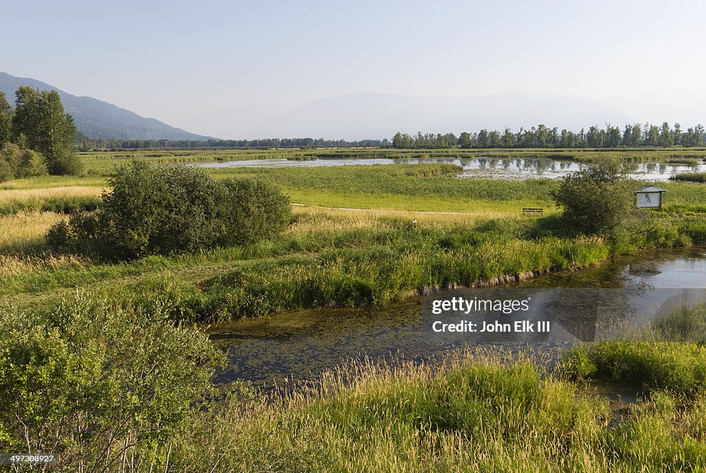 Creston Valley Wildlife Management Area