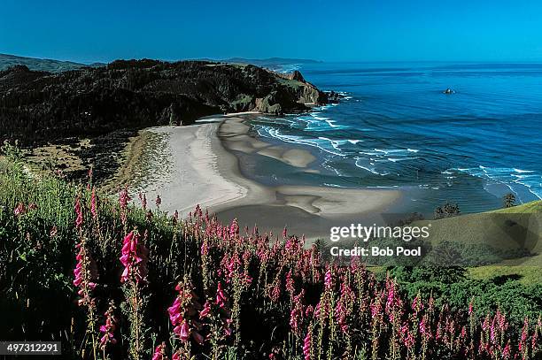 view from cascade head on the central oregon coast - lincoln city oregon stock pictures, royalty-free photos & images