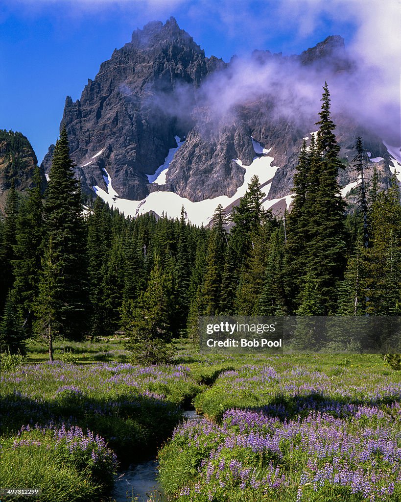 Three fingered Jack and Canyon Creek Meadow