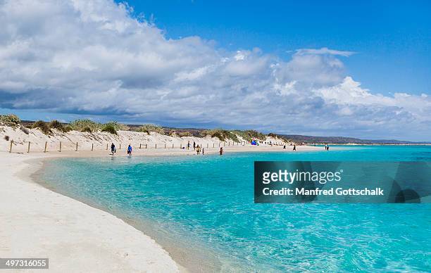 turquoise bay at ningaloo reef - エクソマス ストックフォトと画像