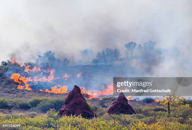 bushfire near onslow pilbara - onslow western australia stock pictures, royalty-free photos & images