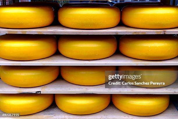 cheese production - cheese production in netherlands stock pictures, royalty-free photos & images