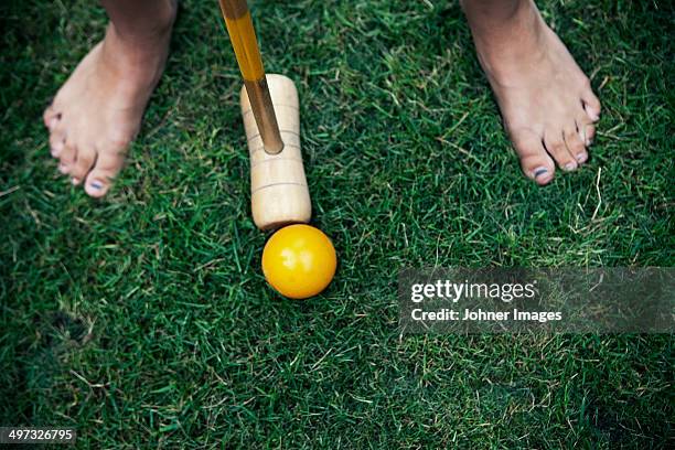 playing croquet, sweden - croquet fotografías e imágenes de stock