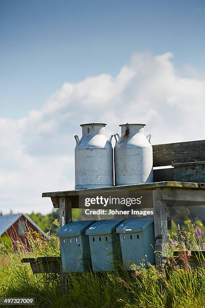 metal milk jugs, vastergotland, sweden - pot à lait pichet photos et images de collection
