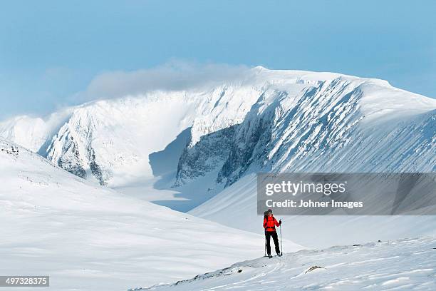 person skiing, lapland, sweden - swedish lapland bildbanksfoton och bilder