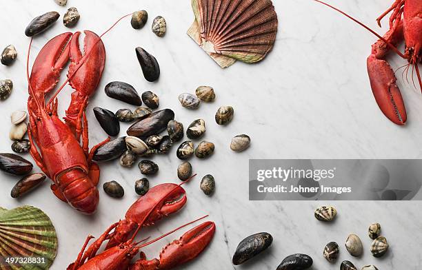 seafood on white background - lobster seafood stock pictures, royalty-free photos & images